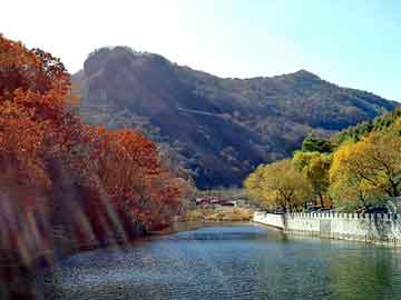 天天彩好彩天天免费，村村通卫星电视接收器